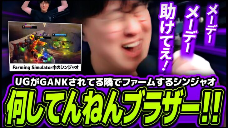 【更生プログラム2】ちょ待て！UGがGANKされてるのにシンジャオ何してんねん(笑)【League of Legends】