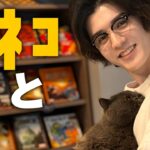 猫嫌いが人気猫カフェ＆猫タレントに行く【スタンミの都内ネコスポット巡り】