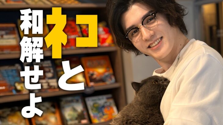 猫嫌いが人気猫カフェ＆猫タレントに行く【スタンミの都内ネコスポット巡り】