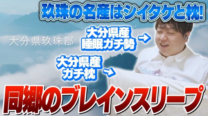 【ベッドに30万以上・月1の通院】寝具に金をかける睡眠ガチ勢の男が一番良かった枕を紹介 【ブレインスリープ】