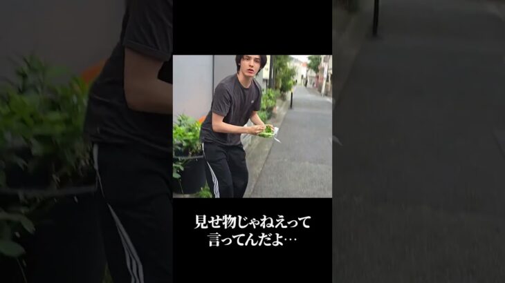 見せ物じゃねえぞ！！！#shorts