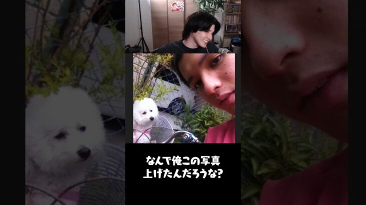 JUNONに載るのは実は2回目で…#shorts