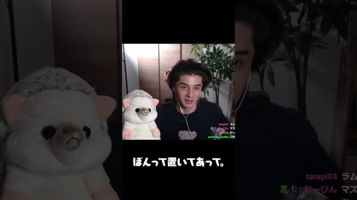 スタンミの新しい推し#shorts