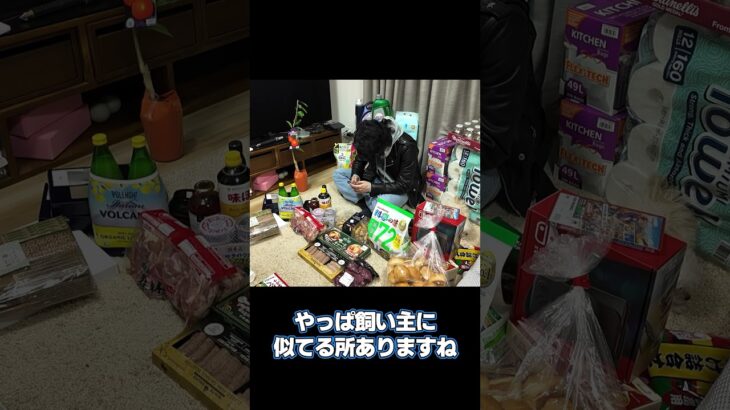 飼い主に似る#shorts